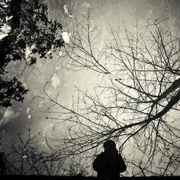 表達世事滄桑變化詩句,看淡世事滄桑的詩句,形容世事滄桑的詩句