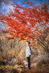 關(guān)于邂逅擦肩的詩句