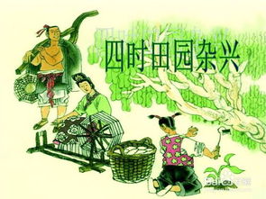 描寫夏天山林的古詩句