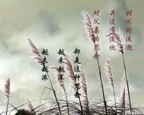 詩(shī)句,勾起,回憶