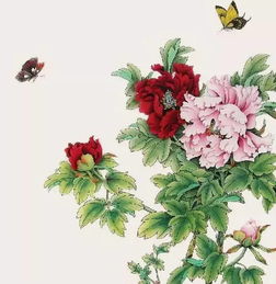 春天桃花的詩(shī)句古詩(shī),描寫(xiě)春天桃花的詩(shī)句古詩(shī),春天的詩(shī)句古詩(shī)整首