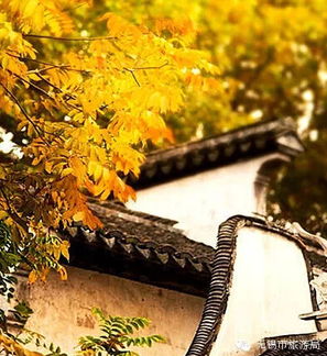 關(guān)于惠山寺的詩句