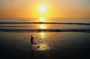 關(guān)于落日的詩句標明作者出處