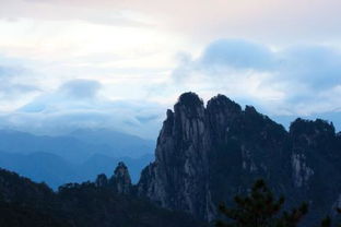 關于松柏青山的詩句