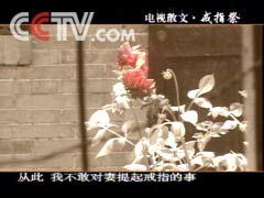 關(guān)于婚禮的散文詩句