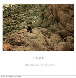 青島,名句,詩句