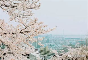 很深,詩(shī)句,于心