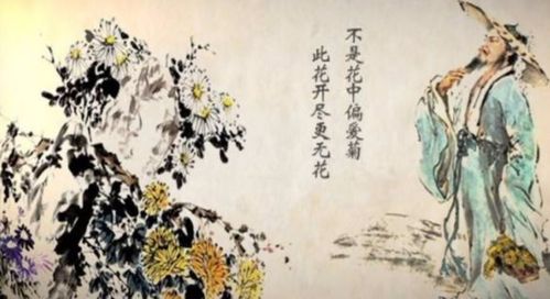 關于描寫夏天的詩句古詩大全,描寫夏天荷花的詩句古詩大全,描寫夏天的詩句古詩大全300首