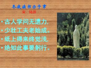 詩句,有感,讀書