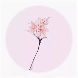 關(guān)于痕跡的古風(fēng)詩句