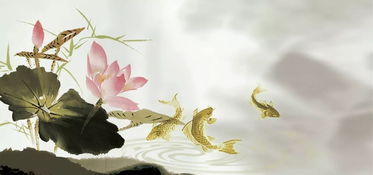 關于荷花國畫上的的詩句