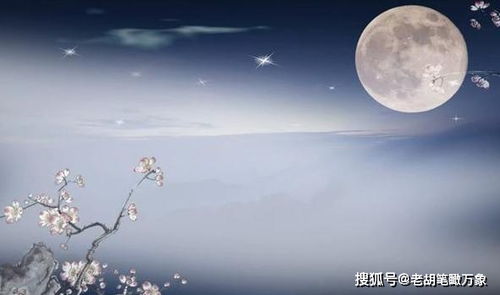 自己的,詩句,人知,感受