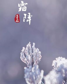 霜降,詩句,描寫