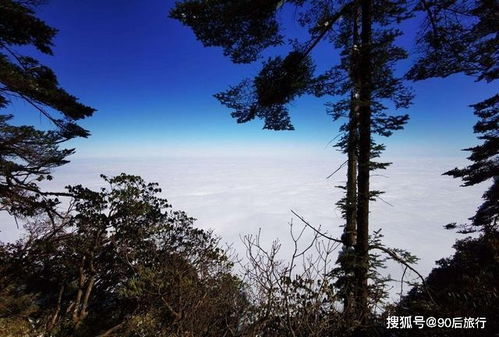 蘇軾關(guān)于春雪詩(shī)句