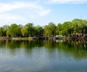 詩句,池塘,夏天