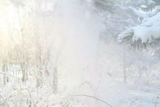 悼念,詩句,父母