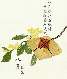 關(guān)于桂花雨的詩句古詩,關(guān)于桂花雨的詩句有哪些,關(guān)于桂花雨的詩句,有十個