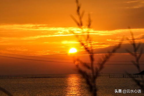 關(guān)于景色的五言詩句