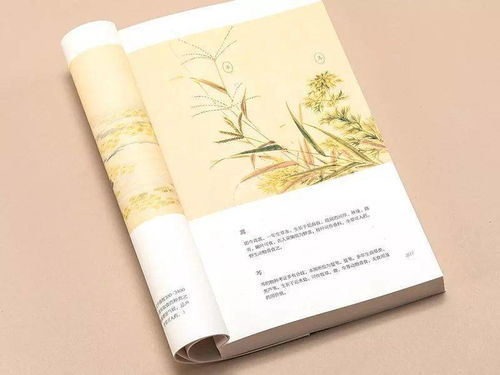 關(guān)于細(xì)致的詩句