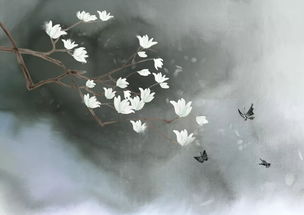 詩句,紅塵,離去