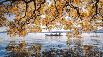 西湖秋天的詩句古詩