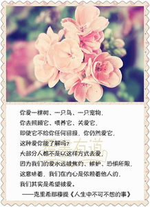 祝福萬事如意的古詩句