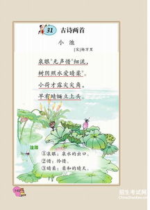 小池,古詩,詩句,池塘