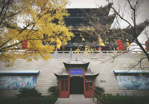 秋日思鄉(xiāng)的詩(shī)句古詩(shī),思鄉(xiāng)的詩(shī)句古詩(shī),中秋思鄉(xiāng)的詩(shī)句古詩(shī)