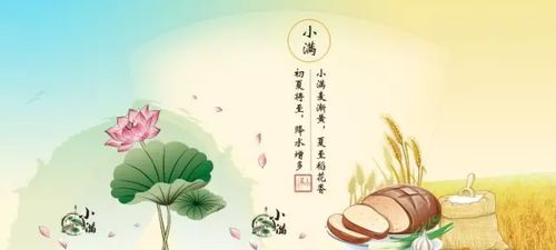 有關(guān)節(jié)氣的諺語或詩句,有關(guān)小雪節(jié)氣的諺語詩句,關(guān)于節(jié)氣雨水的詩句和諺語