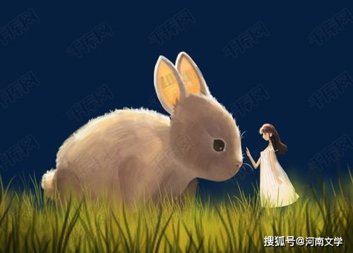 關(guān)于白兔的詩(shī)句句子,描寫(xiě)白兔的詩(shī)句,贊美白鷺的詩(shī)句