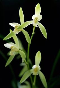 描寫幽谷的古詩句