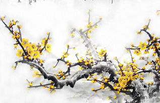 贊美紅楓的詩(shī)句古詩(shī)