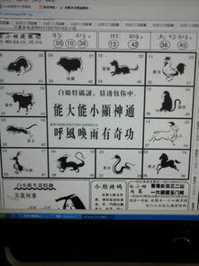 猜古詩(shī)句描寫的是什么意思