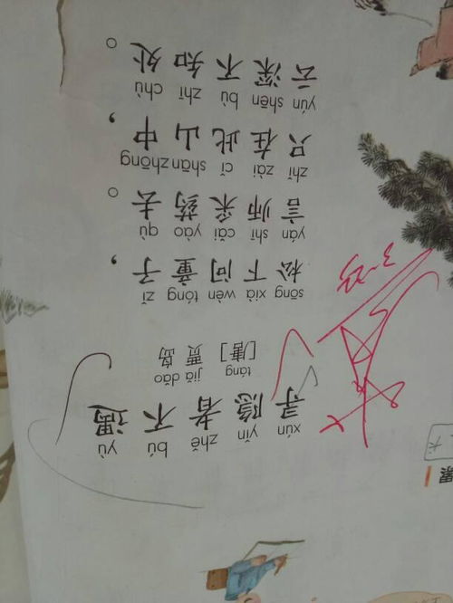 一年級描寫夏天的詩句古詩,夏天的詩句古詩小學(xué)一年級,一年級關(guān)于柳樹的詩句古詩