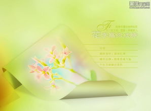 關(guān)于花字的詩(shī)句有哪些