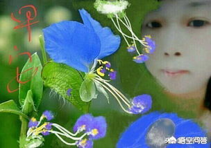 三級(jí)1課燕關(guān)于燕子的詩(shī)句