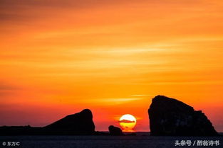 關(guān)于日出的絕命詩句