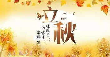 關(guān)于立秋日的詩句