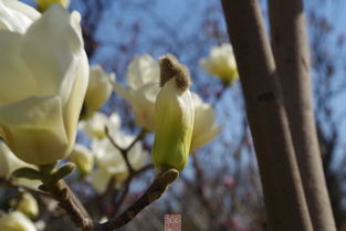 關(guān)于春天的酒詩句