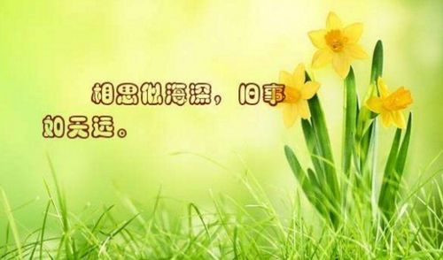 關(guān)于懷念家長花香的詩句