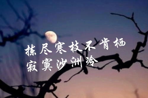 內(nèi)心強(qiáng)大的古詩(shī)句,關(guān)于內(nèi)心堅(jiān)定的古詩(shī)句,落寞失落的古詩(shī)句