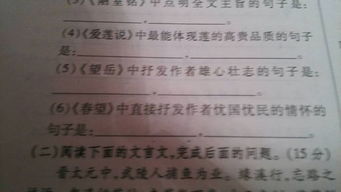 憂國(guó)憂時(shí)的古詩(shī)句