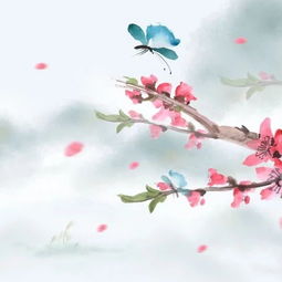 古詩(shī)詞,詩(shī)句,描寫,中帶