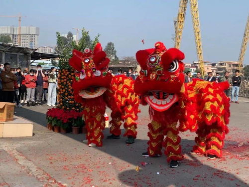 關(guān)于舞獅的古詩(shī)句