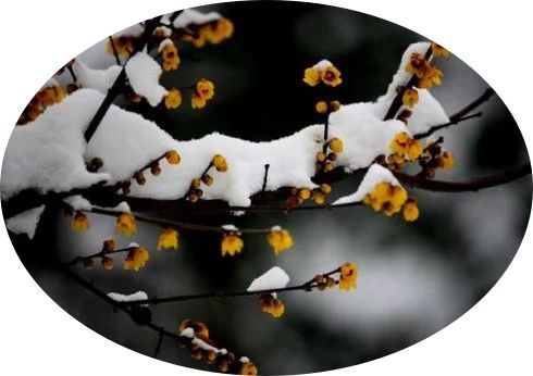 關(guān)于月亮的詩句的對(duì)聯(lián)