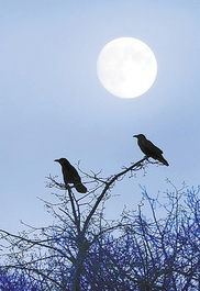 關(guān)于富有哲理的詩(shī)句