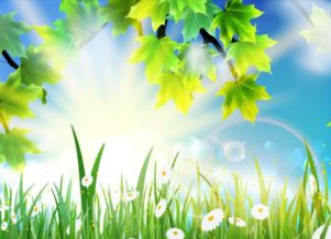 形容春天早晨的太陽(yáng)唯美的句子,古詩(shī)形容早晨的太陽(yáng)唯美的詞語(yǔ),春天早晨的太陽(yáng)怎么形容