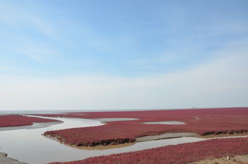 關(guān)于贊美紅海灘的詩(shī)句