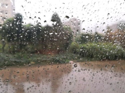 關(guān)于半夜雷的詩句