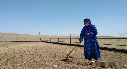 關(guān)于勞作的詩(shī)句大全